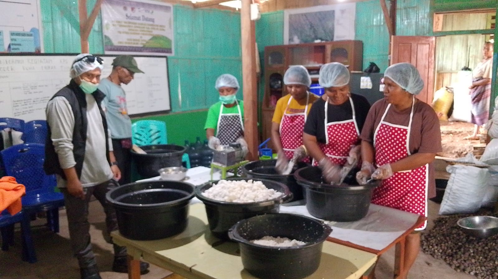 Minyak Kelapa Lokal di Kabupaten Sikka